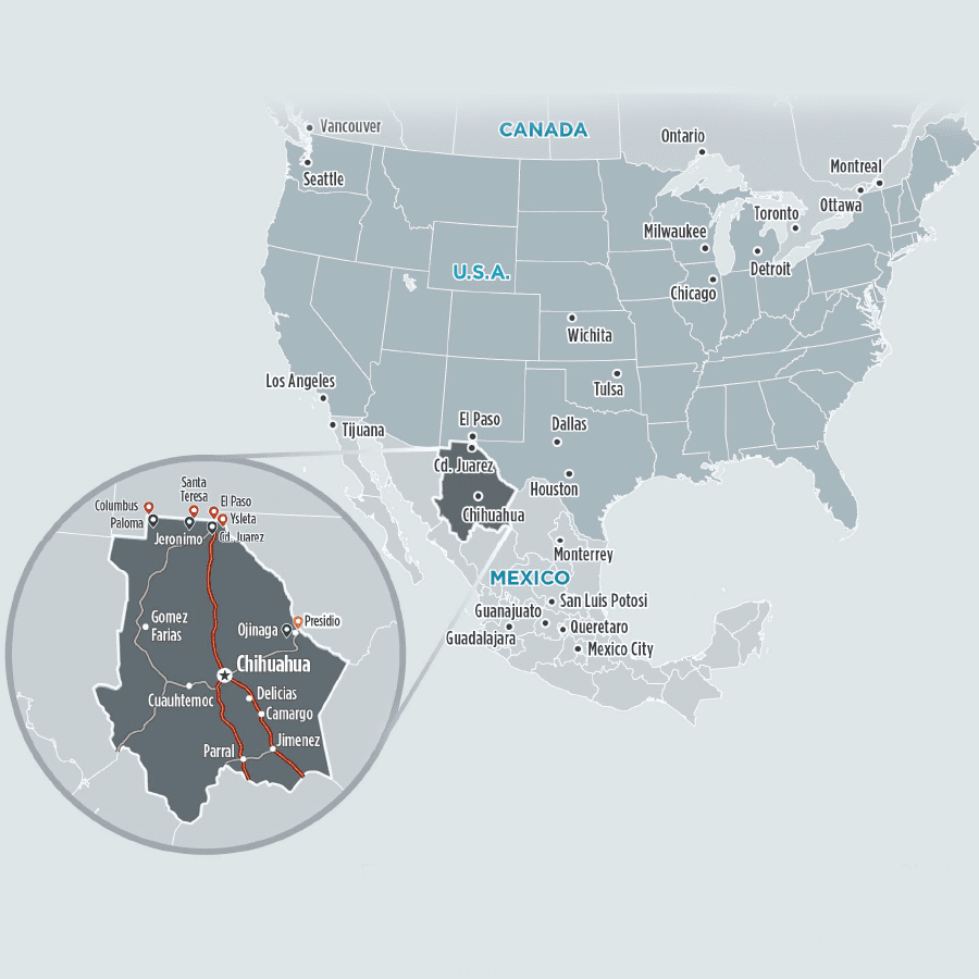Chihuahua MAP