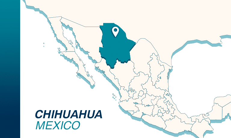 Chihuahua Mini Bodegas ENG 2