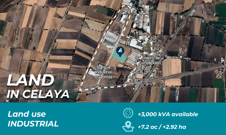 BTS_PORTADA_Celaya_ENG