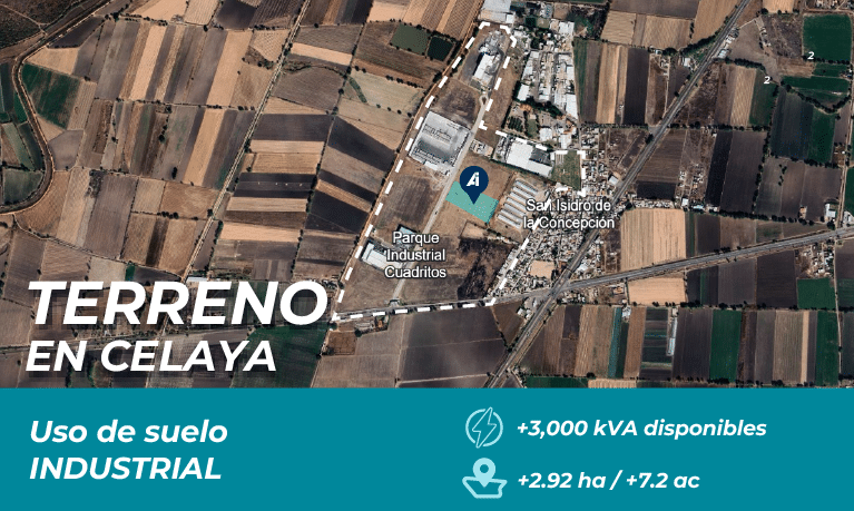 BTS_PORTADA_Celaya_ESP