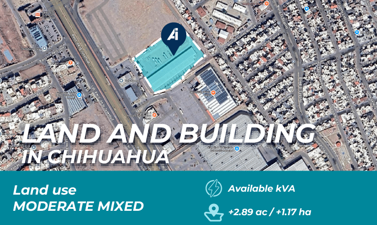 BTS_PORTADA_Chihuahua_eng