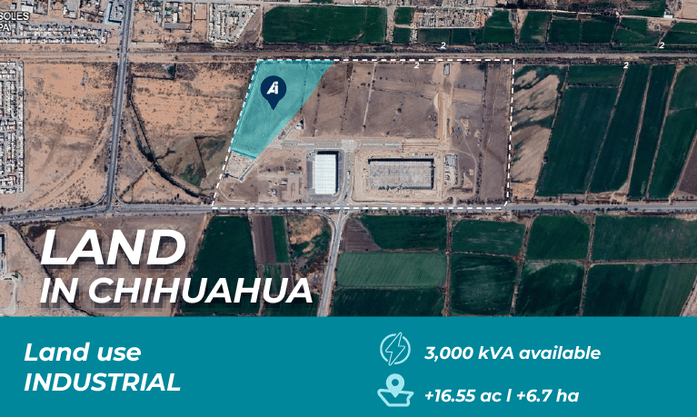 BTS_PORTADA_Chihuahua_eng