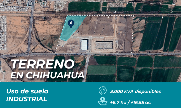 BTS_PORTADA_Chihuahua_esp