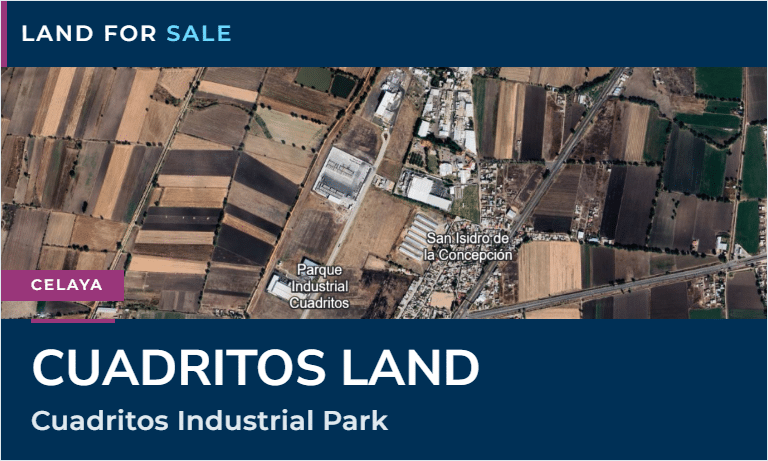 12_gto-terreno-cuadritos_en_1-portada