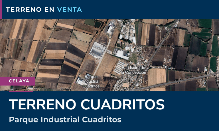 12_gto-terreno-cuadritos_es_1-portada